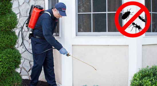 Balışeyh Kene İlaçlama böcek ilaçlama ve haşere kontrolü — ilaclama-tr.com